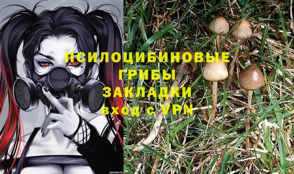 прущая мука Богородск